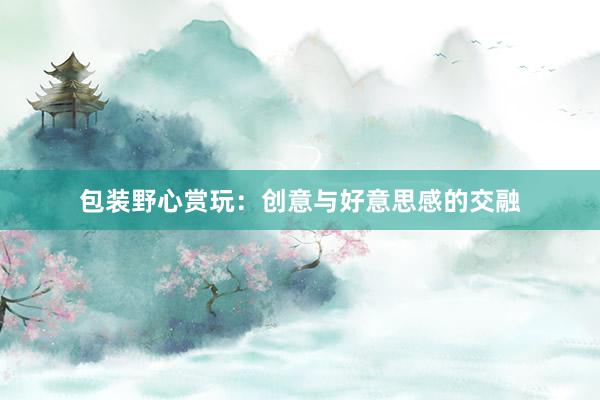 包装野心赏玩：创意与好意思感的交融